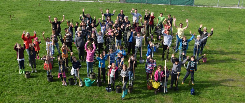 Harder Schul-Bum: 100 Bäume für die Schule am See