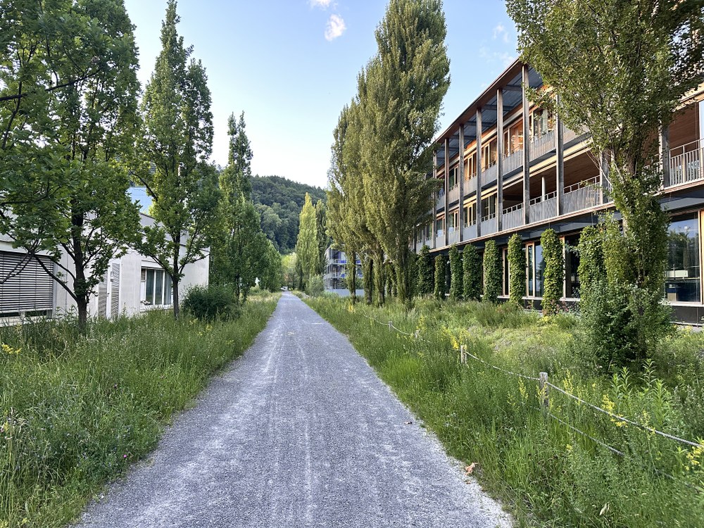 Energieinstitut Vorarlberg
