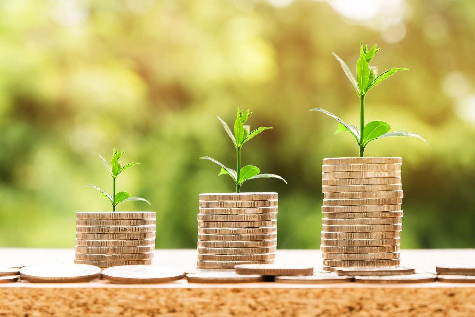 Bild zeigt Münzen mit einer Pflanze auf jeden Stapel, wird verwendet für das Thema Kostenvergleich; copyright Pixabay